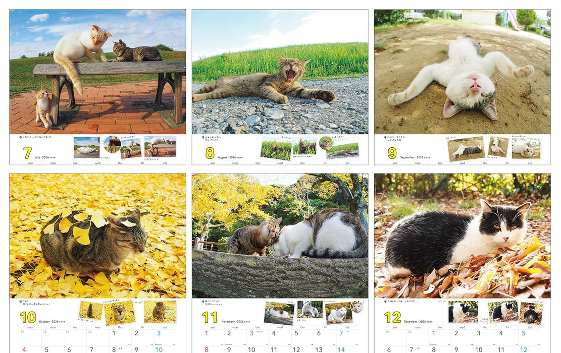 Sachiyo Nakamura Cat Stroll 2026 Wall Calendar