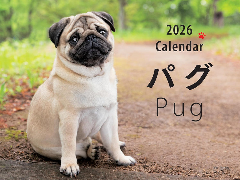 2026 Calendar Pug Wide Edition