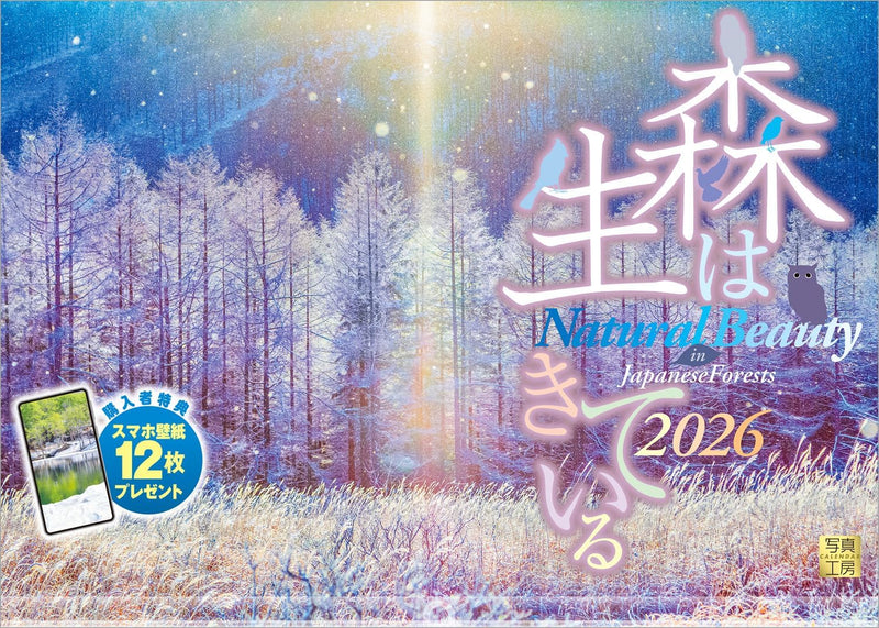 Shashin Koubou Calendar 'Natural Beatury in Japanese Forests' 2026 Wall Calendar (with Transparent Holder)
