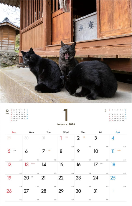 Black Cat Calendar 2025