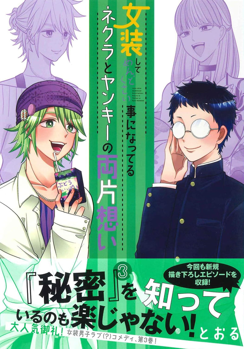 Crossplay Love: Otaku x Punk (Josou Shite Mendokusai Kotoninatteru Nekura to Yankee no Ryou Kataomoi) 3