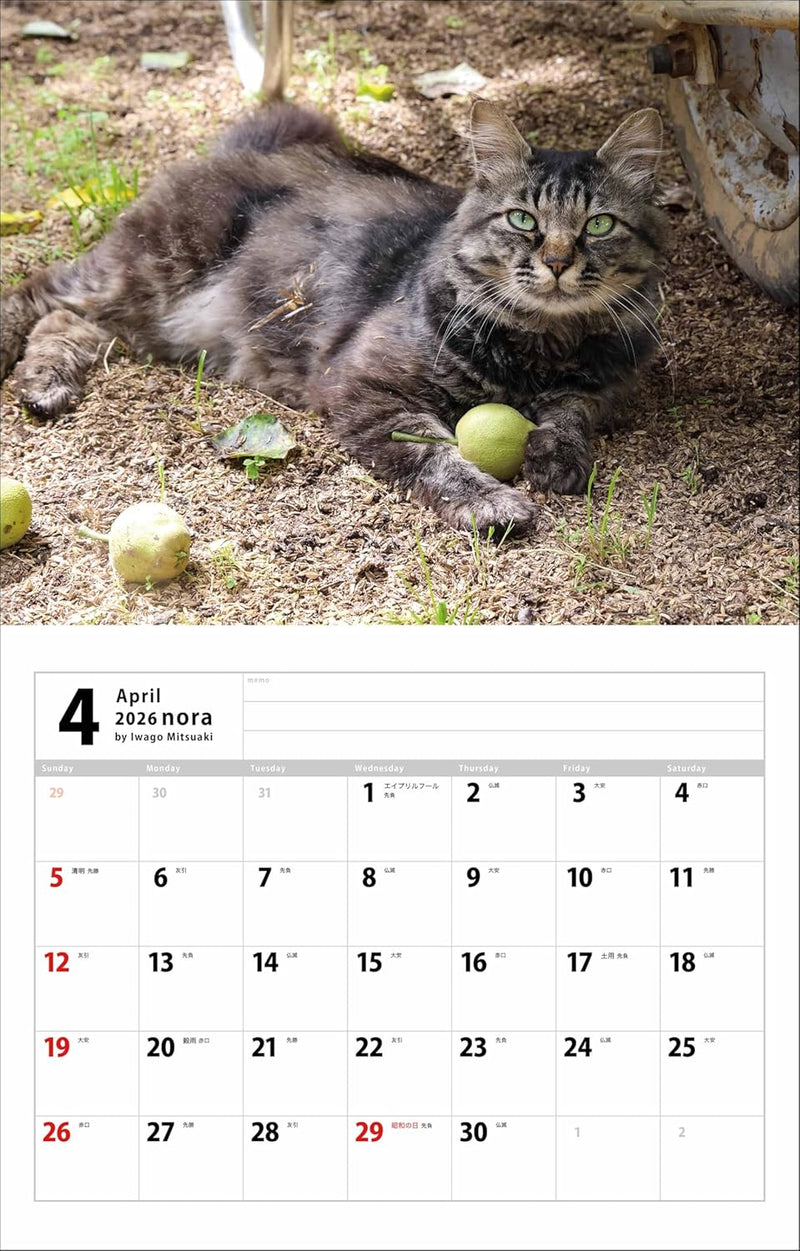Mitsuaki Iwago Nora Calendar 2026