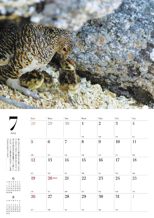 Rock Ptarmigan (Raichou) Seasons of the Sacred Bird 2026 Wall Calendar