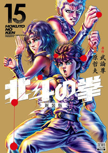 Fist of the North Star (Hokuto no Ken) New Edition 15