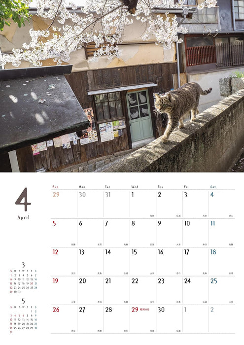 Street Corner Cats Calendar 2026 (Wall Calendar)