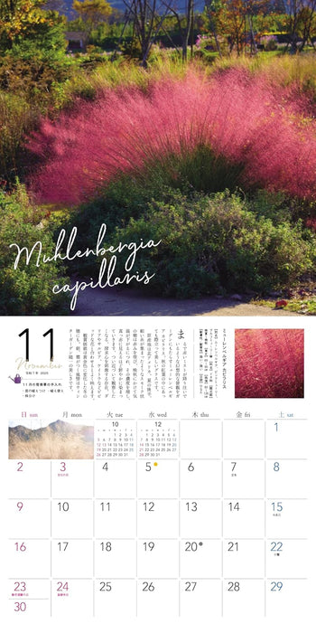 Ogihara Plant Garden Perennial 2025 Wall Calendar