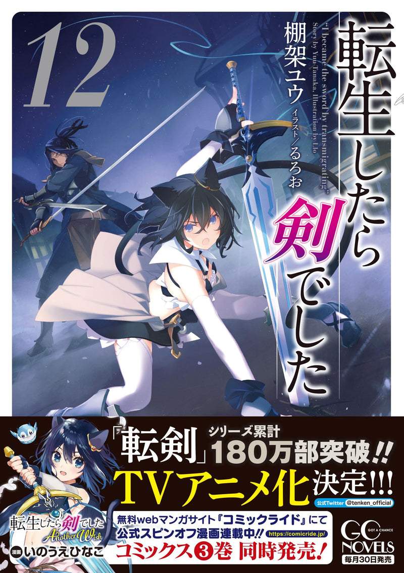 Reincarnated as a Sword (Tensei Shitara Ken Deshita) 12 (Light Novel)