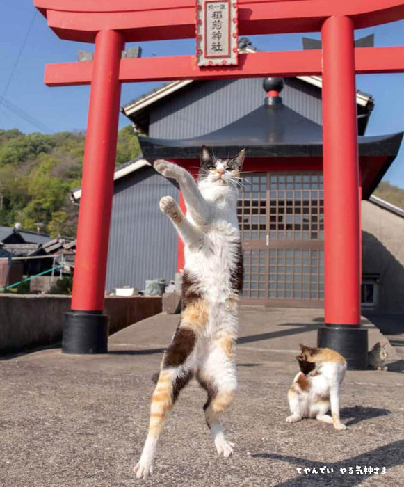 Hagoromo Nyan Kamisama. Masayoshi Yamamoto Tachi Neko 2026 Wall Calendar CL26-0399