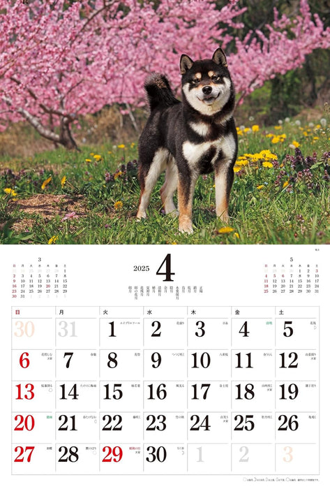 2025 Japanese Dogs Calendar