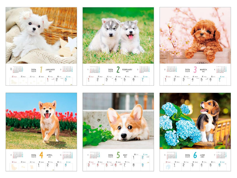 Calendar 2026 Fuwa Fuwa Wanko (Monthly/Wall Calendar) (Impress Calendar 2026)