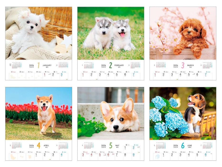 Calendar 2026 Fuwa Fuwa Wanko (Monthly/Wall Calendar) (Impress Calendar 2026)