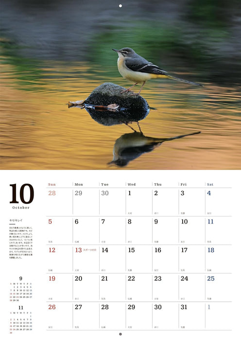 Common Wild Birds Calendar 2025 (Wall Hanging)