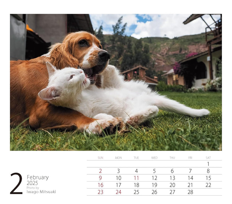 2025 Mini Calendar Mitsuaki Iwago Friends