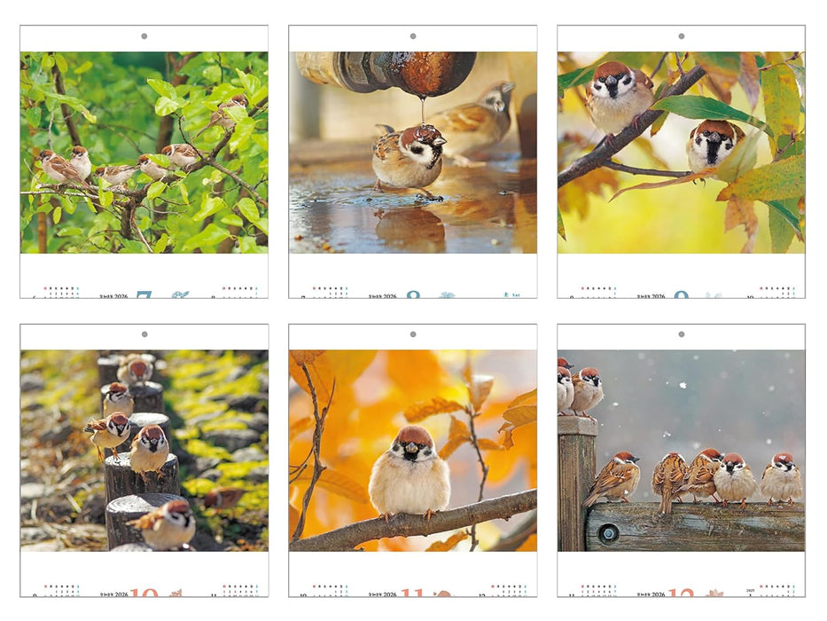 Suzume Gurashi Calendar 2026 (Impress Calendar 2026)