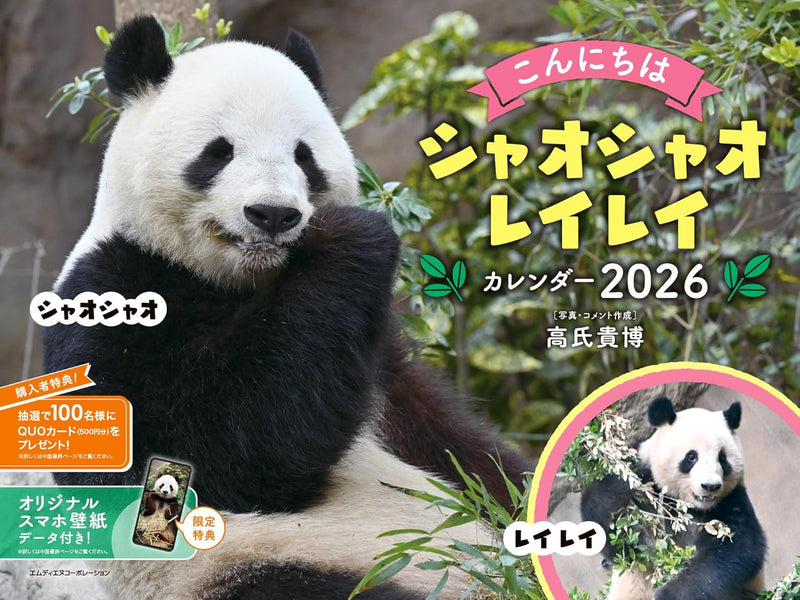 Hello Xiaoxiao Lei Lei 2026 Calendar