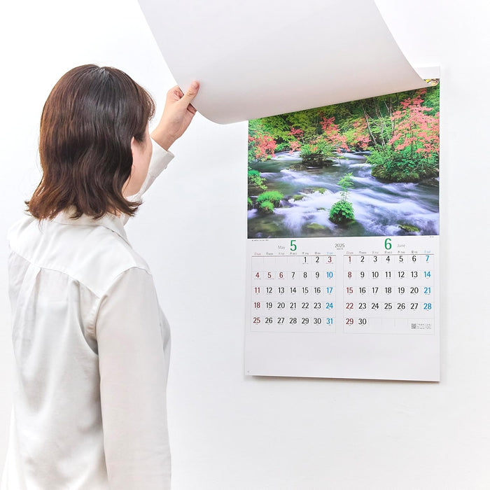 New Japan Calendar 2025 Wall Calendar Beautiful Japan NK110 610x425mm