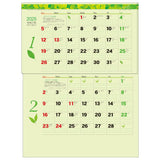 Todan 2025 Wall Calendar Green 2-Month eco (Perforated 15 Months) 53.5 x 38cm TD-30944