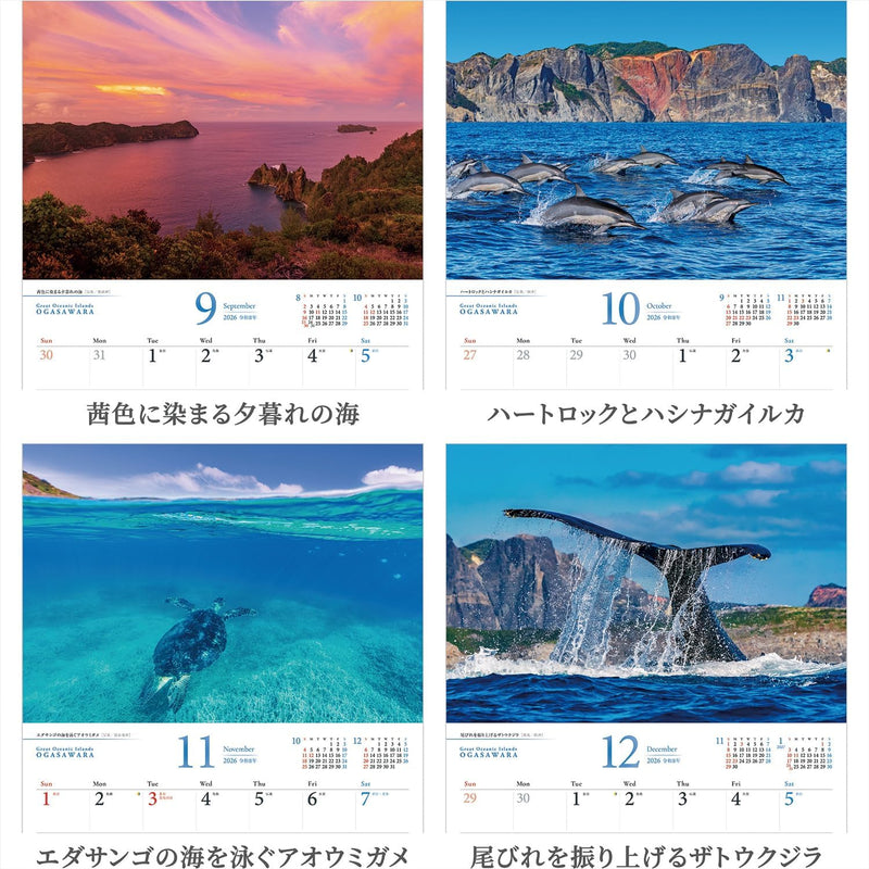 Shashin Koubou Calendar 'Great Oceanic Islands OGASAWARA' 2026 Wall Calendar (with Paper Holder)
