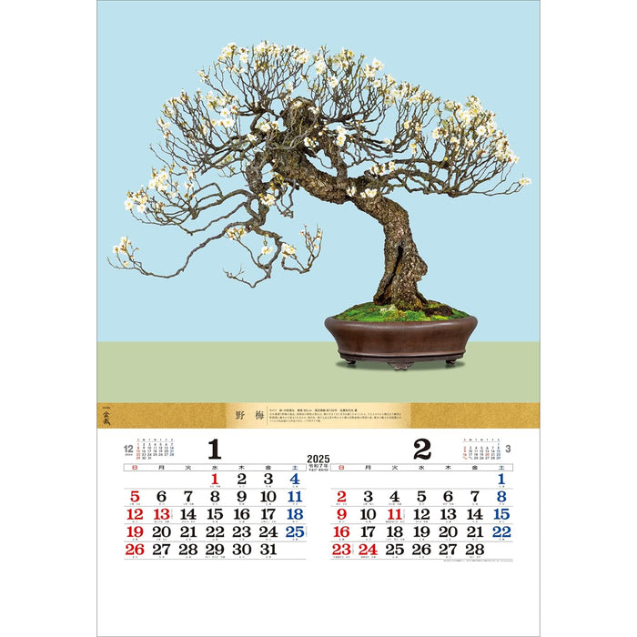 Todan 2025 Wall Calendar Bonsai 76.6 x 51.5cm TD-624