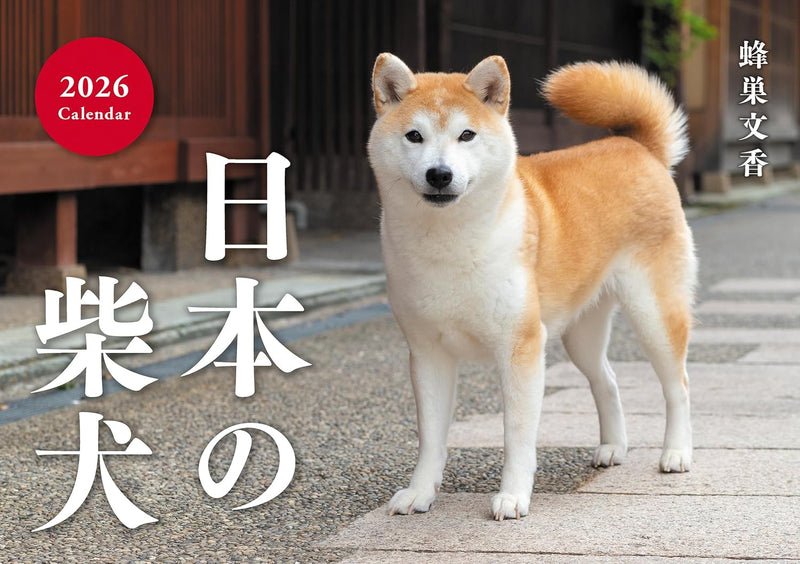 Japanese Shiba Inu Calendar 2026 (Wall Calendar)
