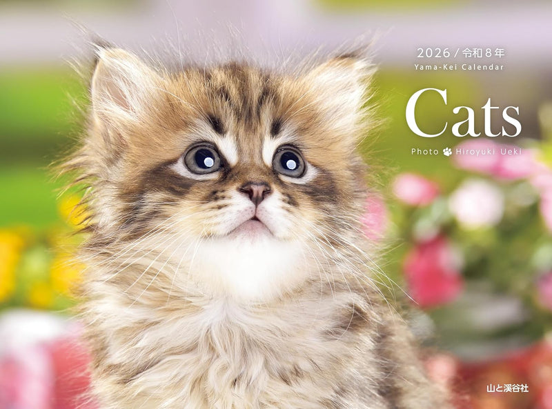 Calendar 2026 Cats (Monthly/Wall Ring Calendar) (Yama-kei Calendar 2026)