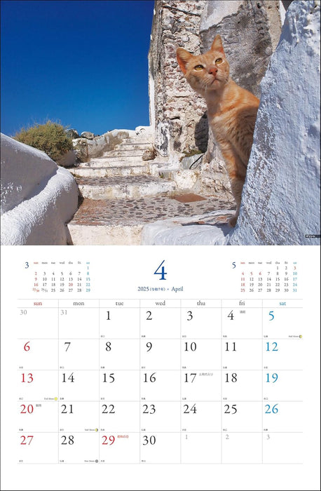 Mitsuaki Iwago World Cat Calendar 2025