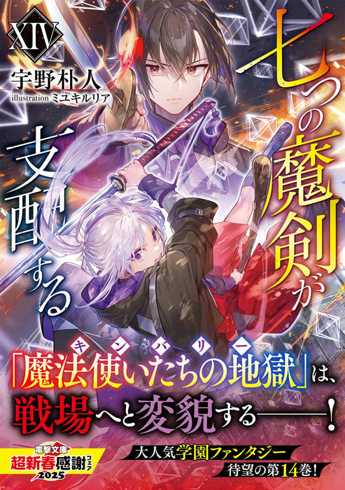 Reign of the Seven Spellblades (Nanatsu no Maken ga Shihai suru) XIV (Light Novel)
