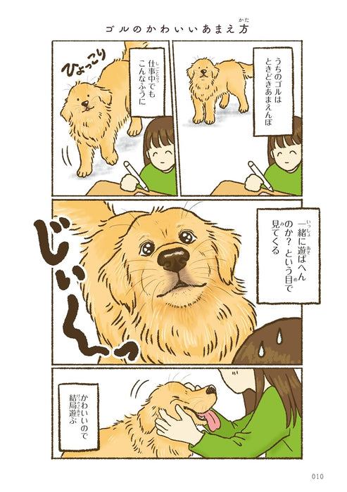 Kyou mo Golden Retriever ni Iyasarete