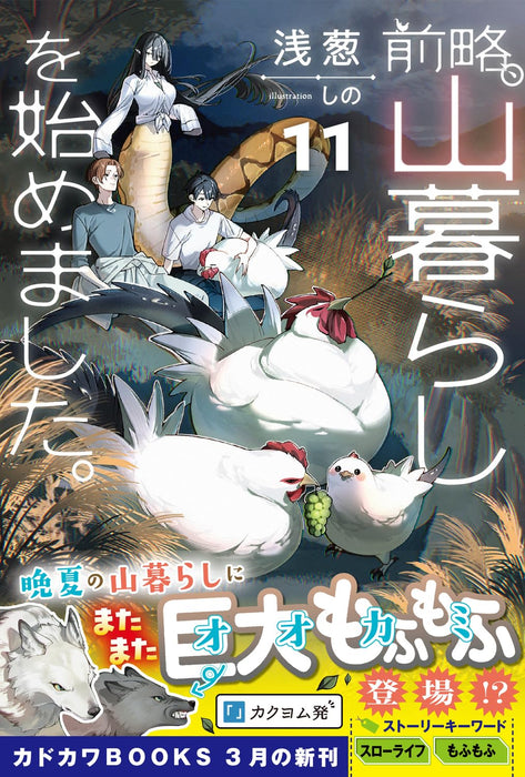 Zenryaku, Yamagurashi wo Hajimemashita. 11 (Light Novel)