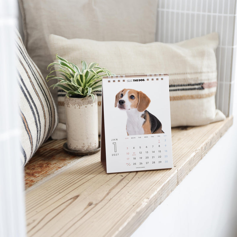 THE HAMSTER 2027 Desk Calendar [Hamster]