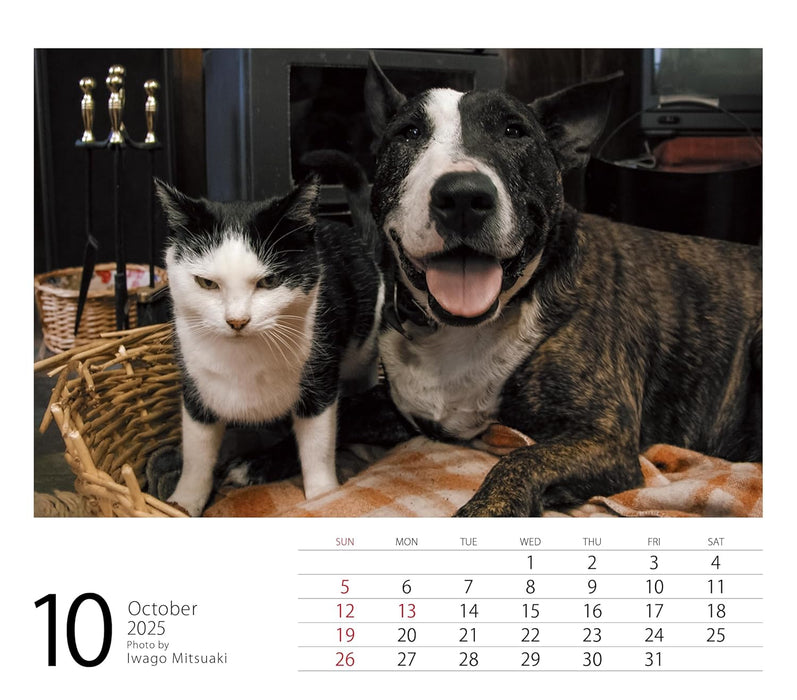 2025 Mini Calendar Mitsuaki Iwago Friends