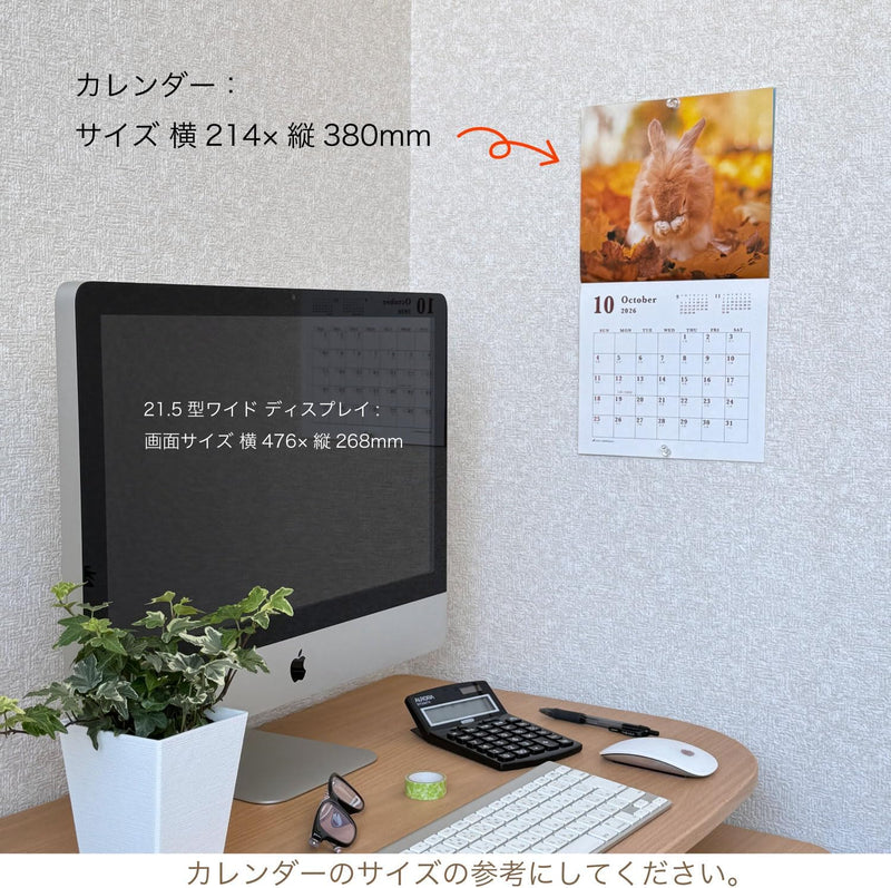 Active Corporation 2026 Wall Calendar Sweet Rabbit 26ACL-36