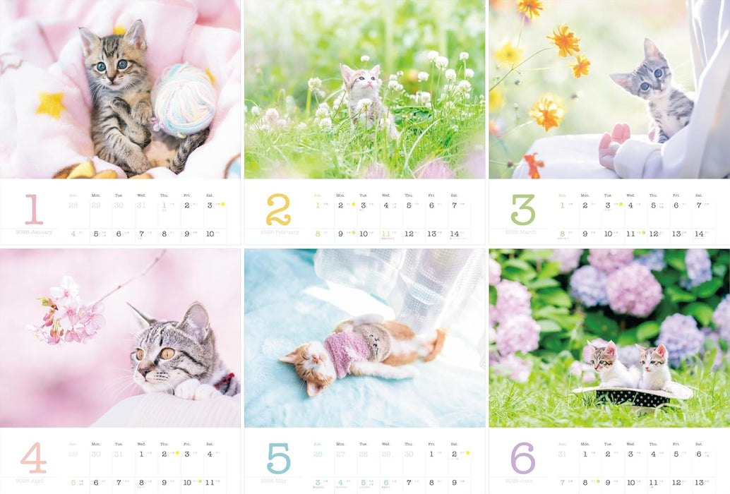 Living with Kittens: 2026 Charity Calendar for Rescue Cats (Monthly/Wall Calendar) (Yama-kei Calendar 2026)