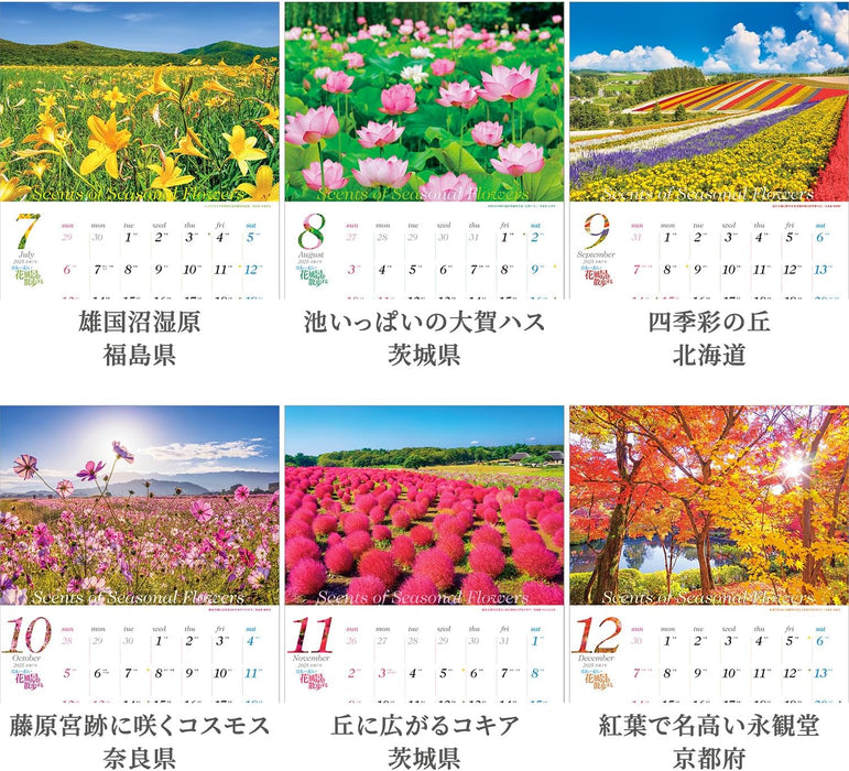 Shashin Koubou Scents of Seasonal Flowers 2025 Wall Calendar (with Holder) 300 x 420mm