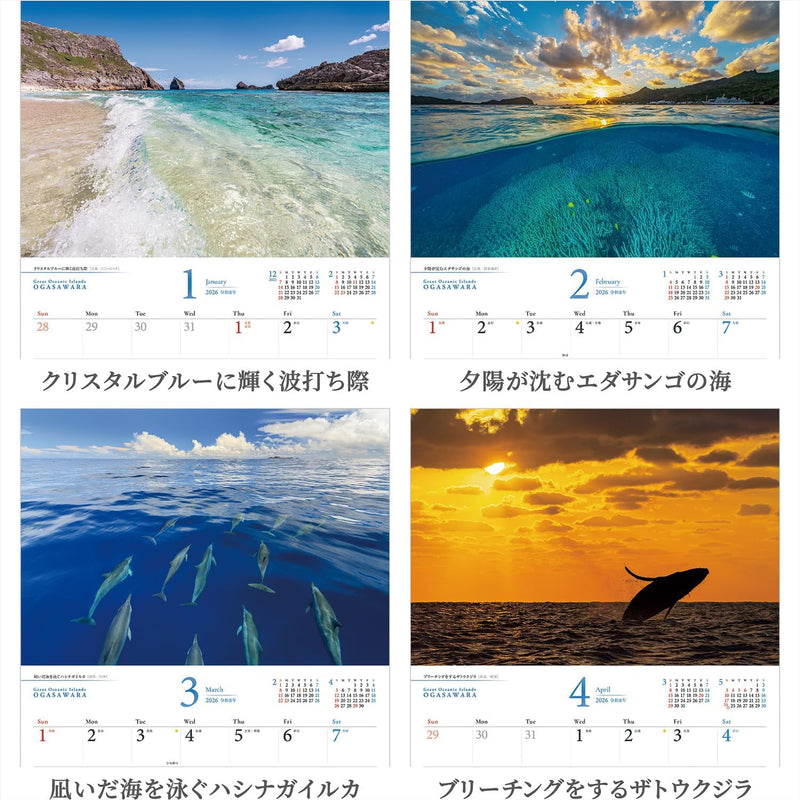 Shashin Koubou Calendar 'Great Oceanic Islands OGASAWARA' 2026 Wall Calendar (with Paper Holder)