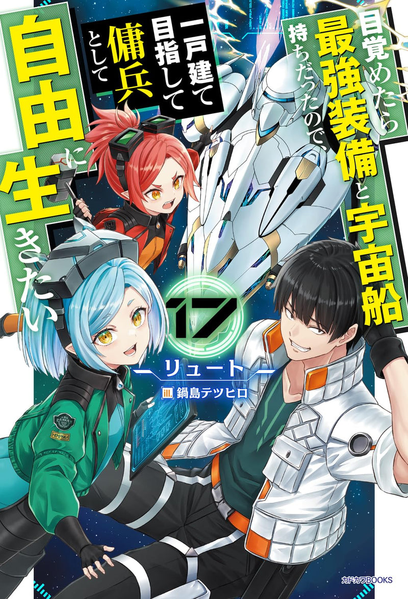 Mezametara Saikyou Soubi to Uchuusen-mochi Datta no de, Ikkodate Mezashite Youhei Toshite Jiyuu ni Ikitai 17 (Light Novel)