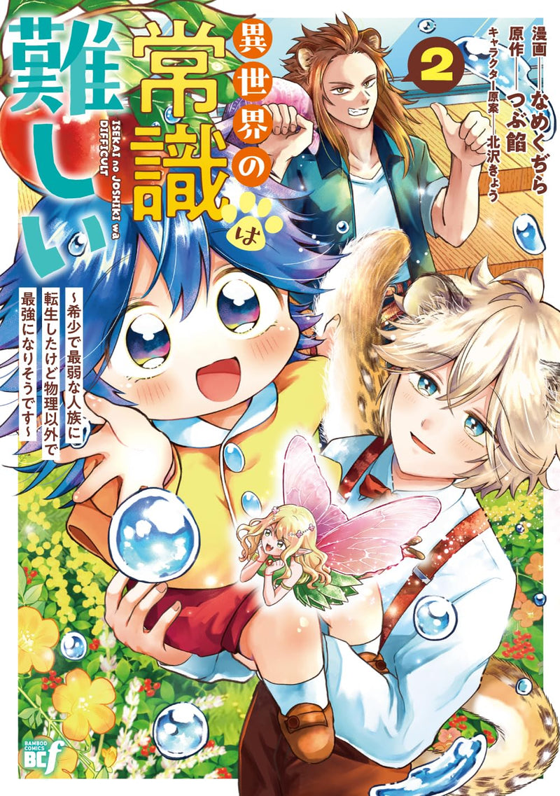 Isekai no Joushiki wa Muzukashii: Kishou de Saijaku na Hitozoku ni Tensei shita kedo Butsuri Igai de Saikyou ni Narisou desu 2