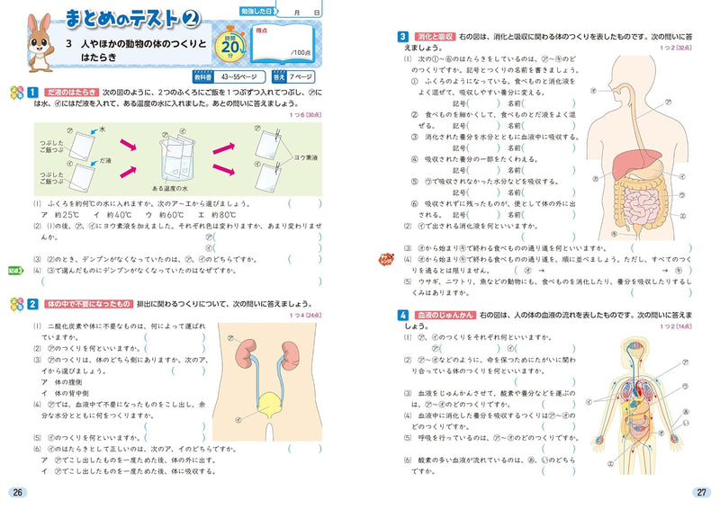 Shougaku Kyoukasho Work Science 6th Grade Dainippon Tosho Edition