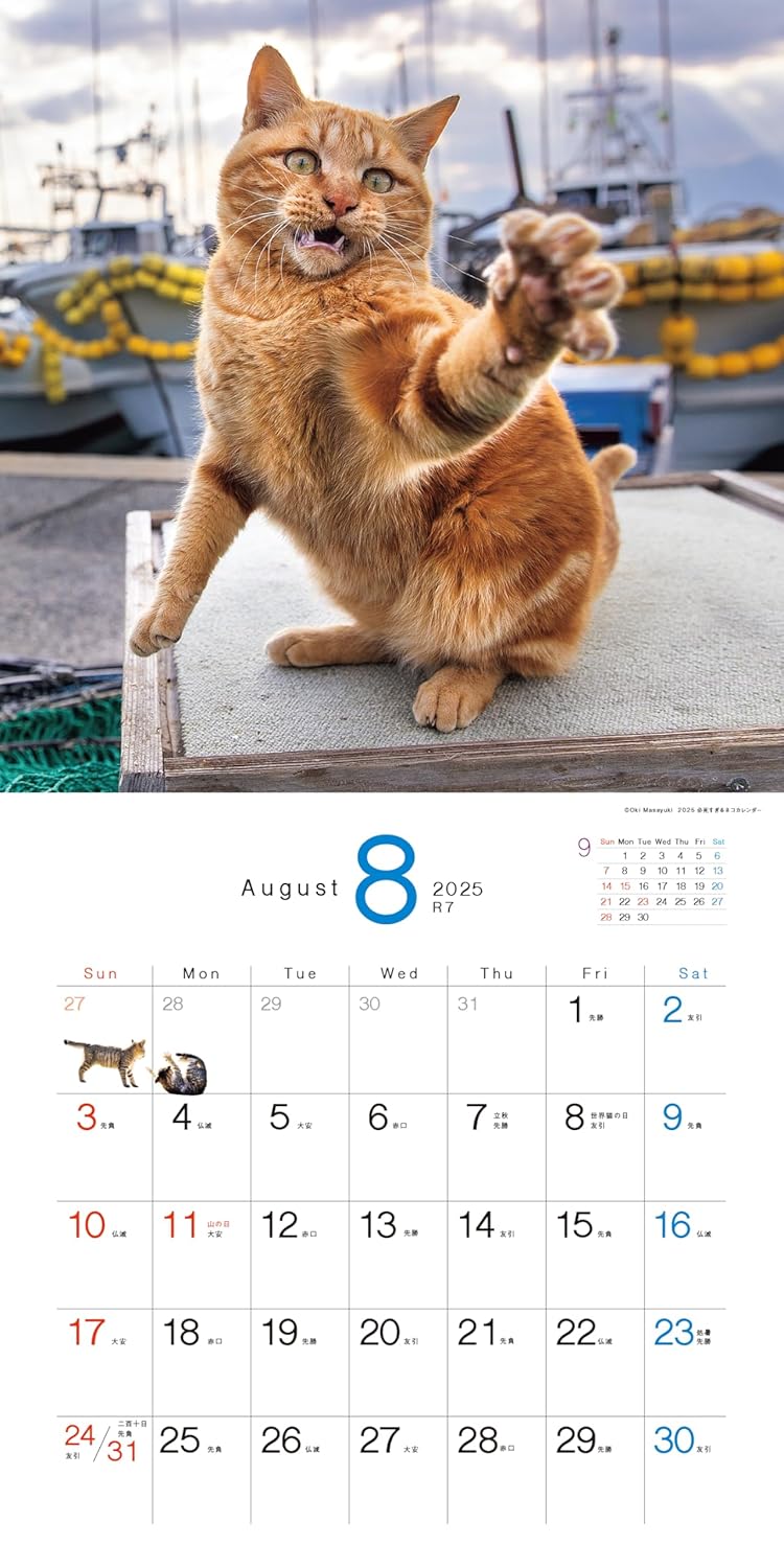 2025 Desperately Determined Cats Calendar