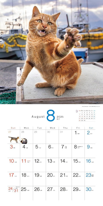 2025 Desperately Determined Cats Calendar