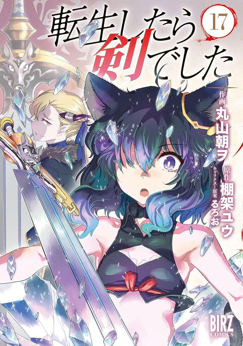 Reincarnated as a Sword (Tensei Shitara Ken Deshita) 17