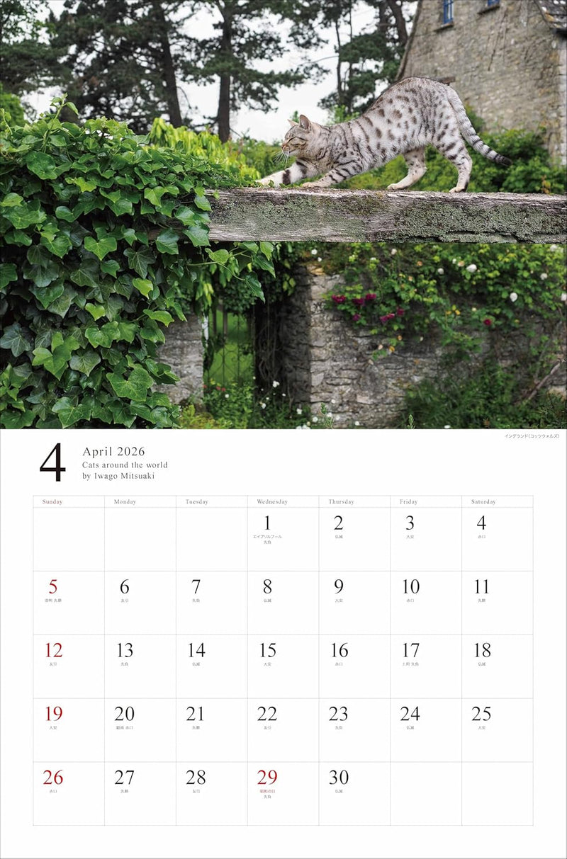 2026 Free Cats of the World Calendar