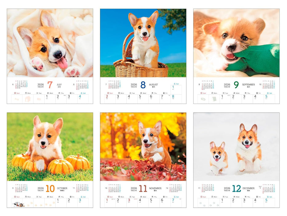 Calendar 2026 Soothing Welsh Corgis (Monthly/Wall Calendar) (Impress Calendar 2026)