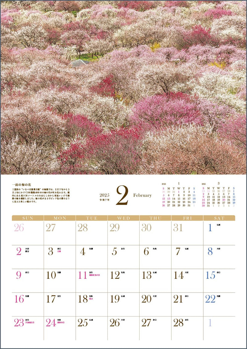 Discover Japan's Breathtaking Scenery: Seasonal Flowers Calendar 2025 (Monthly/Wall Calendar)