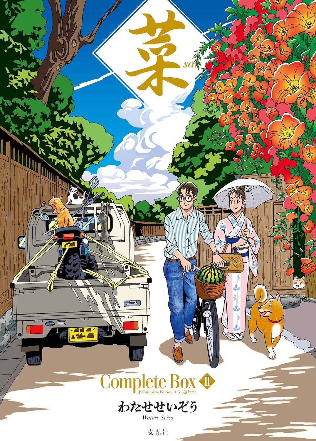 Sai Complete Box II Sai Complete Edition Vol.4 to 6 Set — Japanese Book ...