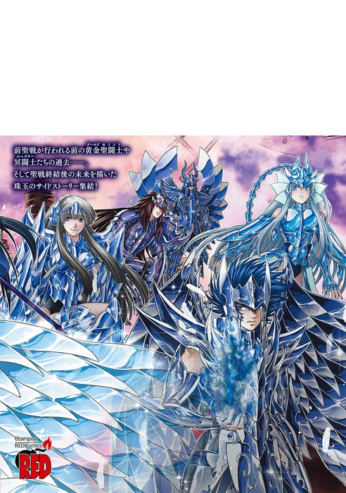 Saint Seiya: THE LOST CANVAS Meiou Shinwa Bangaihen 2