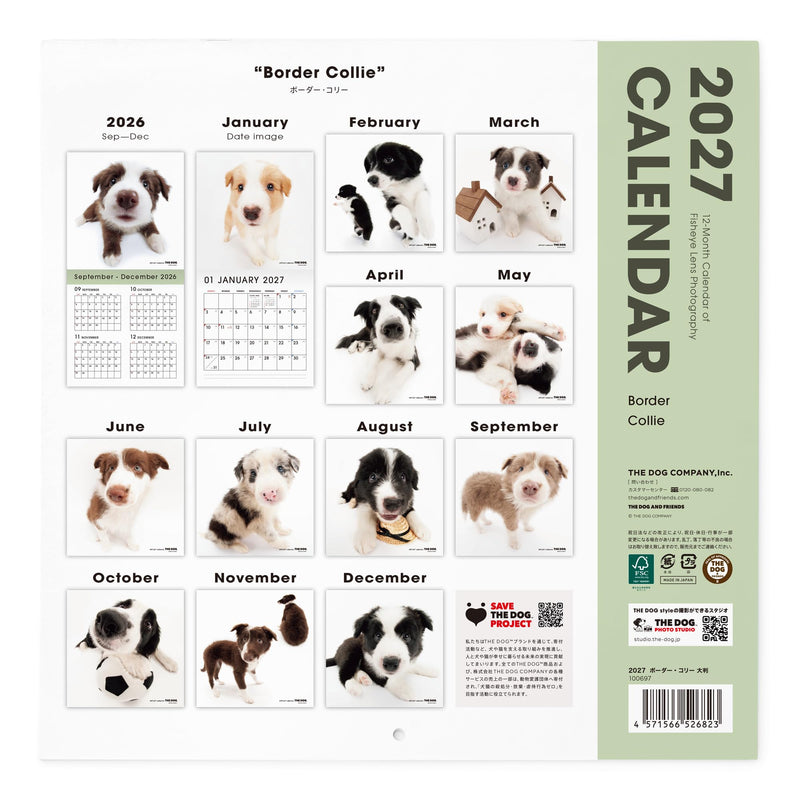 THE DOG 2027 Wall Calendar Large Size [Border Collie]