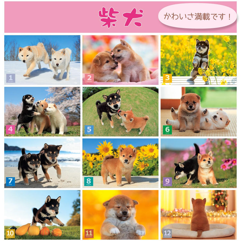 Active Corporation 2027 Wall Calendar Yoneo Morita Marugoto Shibainu 27ACL-11