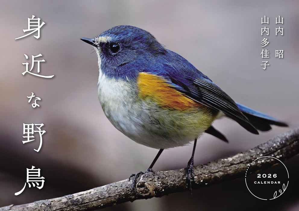 Common Wild Birds Calendar 2026 (Wall Hanging)