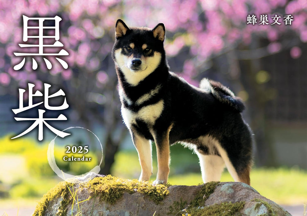 Black Shiba Inu Calendar 2025 (Wall Calendar)